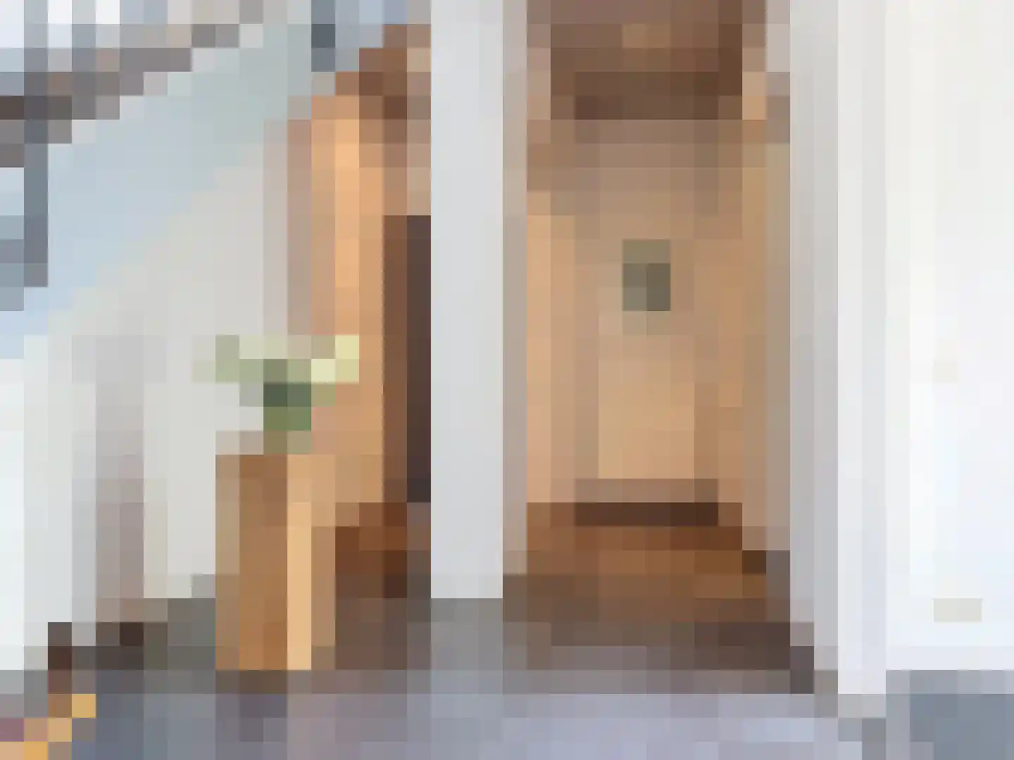 Pasdam 17 Sluis thumbnail 7