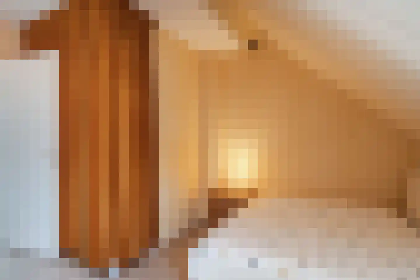 Pasenstraat 7 Harderwijk thumbnail 34
