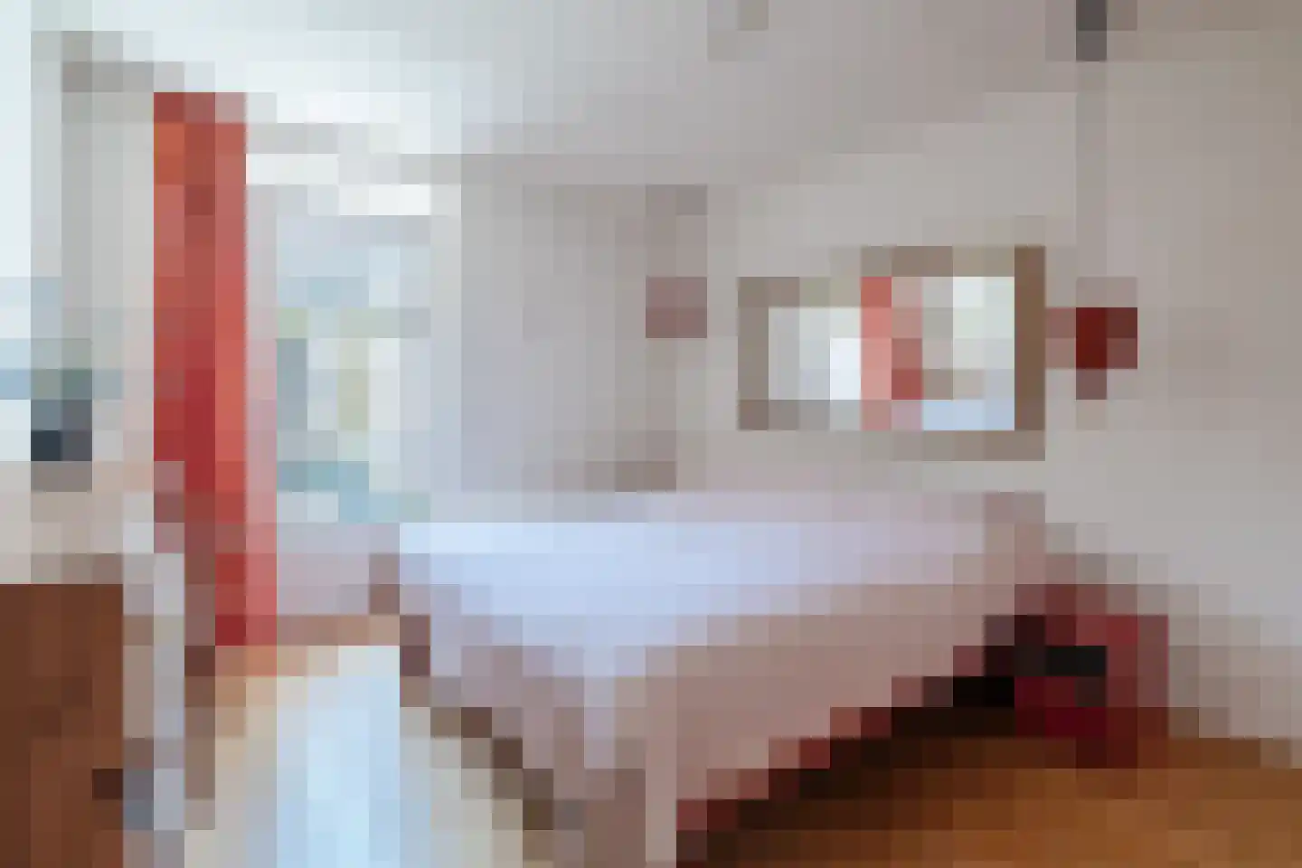 Pasenstraat 7 Harderwijk thumbnail 45