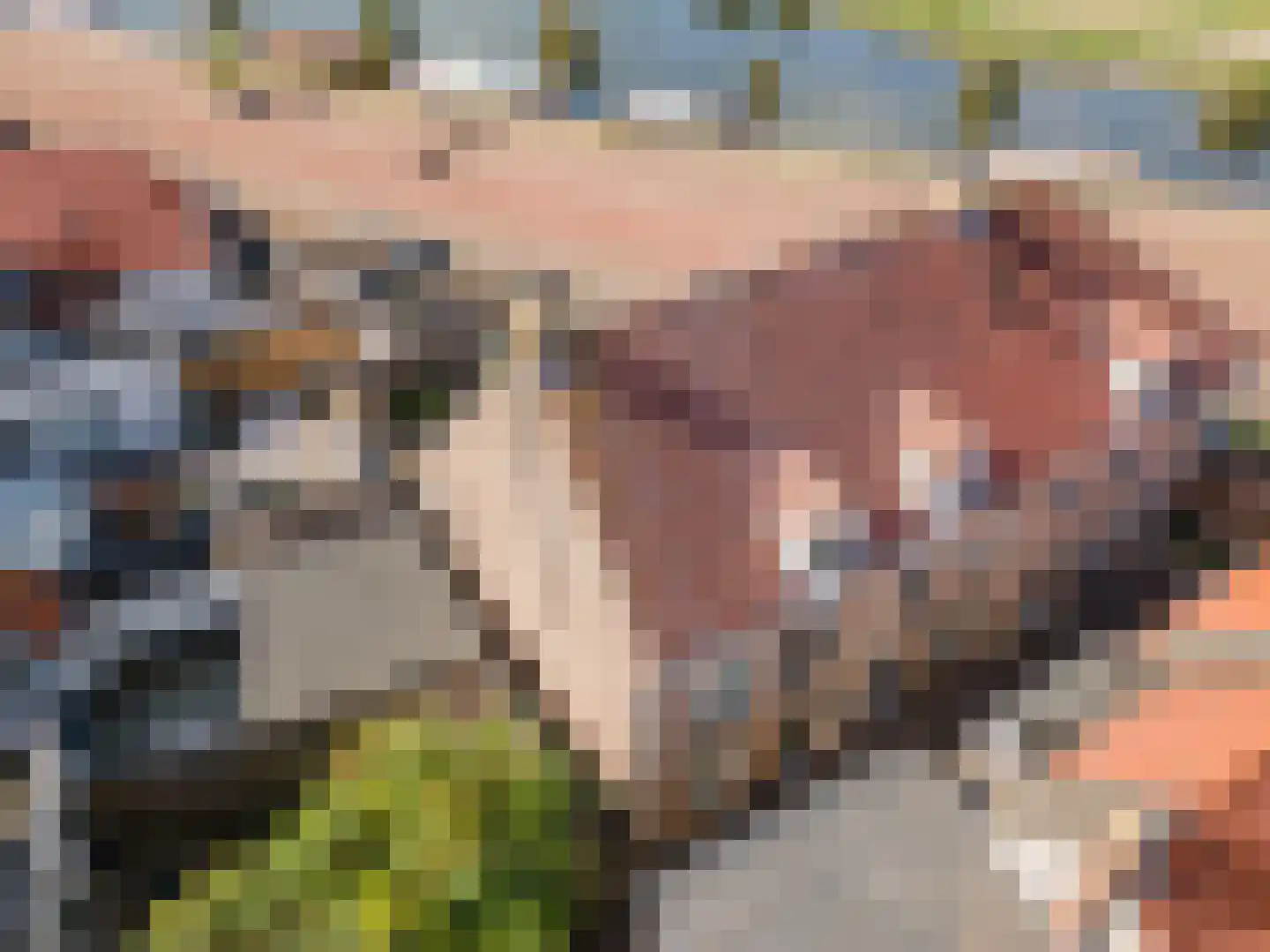 Pasenstraat 7 Harderwijk thumbnail 59