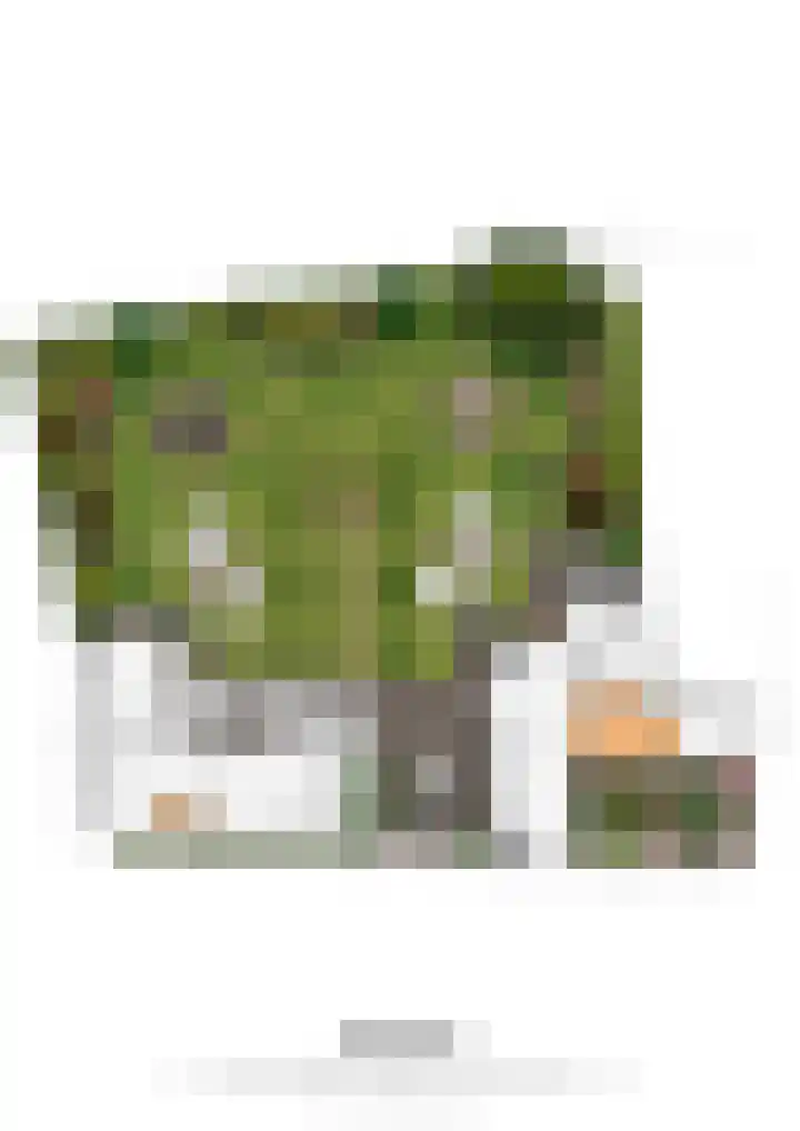 Pasestraat 44 Maastricht thumbnail 33