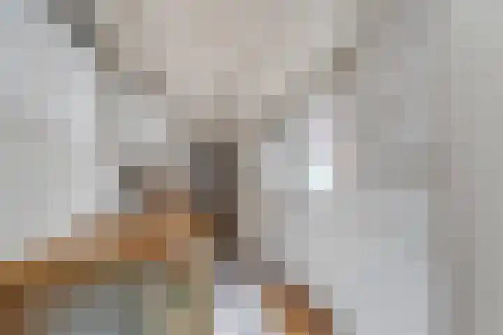 Pasgeldlaan 5 Rijswijk thumbnail 12