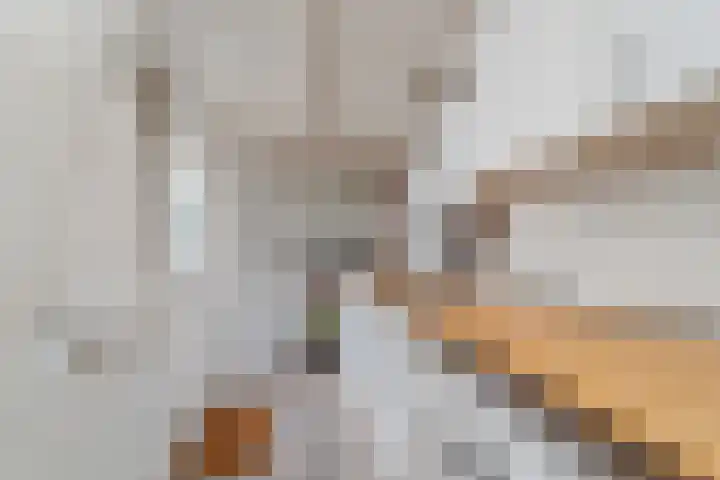 Pasgeldlaan 5 Rijswijk thumbnail 13