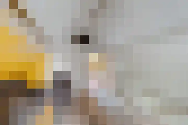 Pasgeldlaan 5 Rijswijk thumbnail 19
