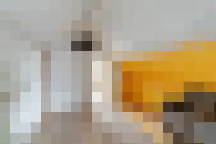 Pasgeldlaan 5 Rijswijk thumbnail 20