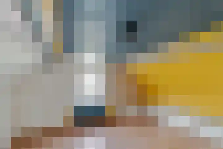 Pasgeldlaan 5 Rijswijk thumbnail 21