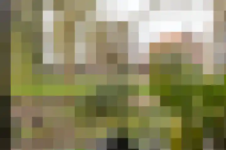 Pashegge 115 Winterswijk thumbnail 12