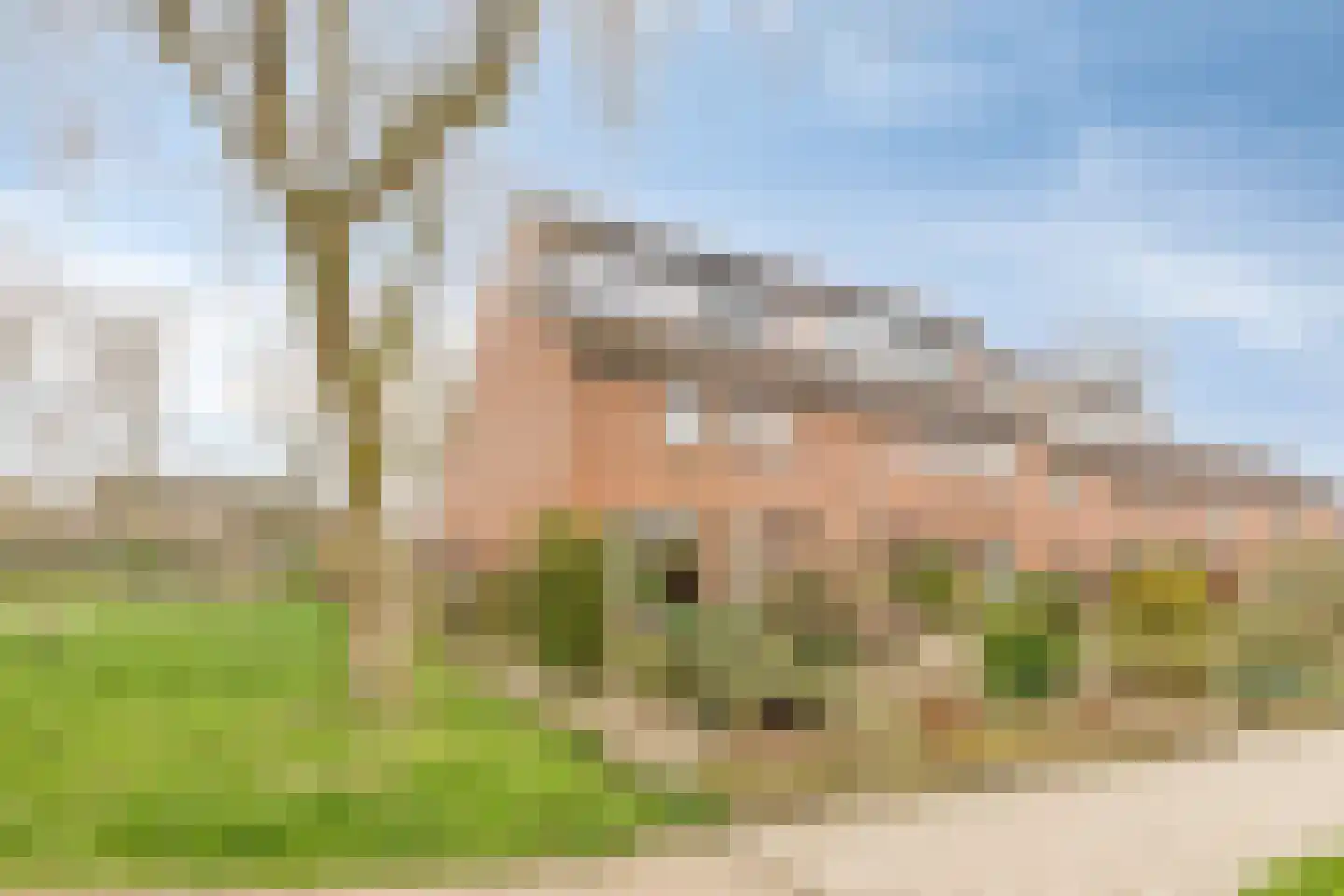 Pashegge 115 Winterswijk thumbnail 42