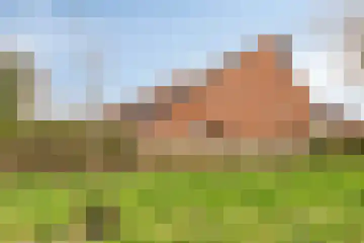 Pashegge 115 Winterswijk thumbnail 5