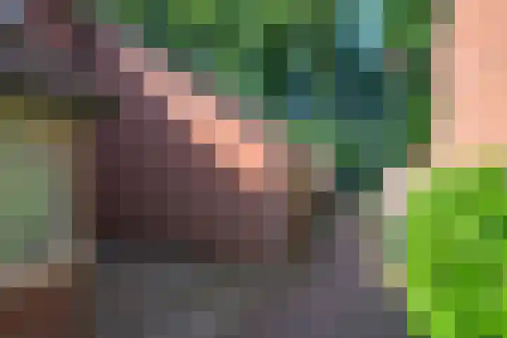 Pashegge 153 Winterswijk thumbnail 32