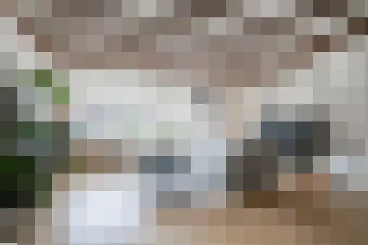 Pashegge 153 Winterswijk thumbnail 4