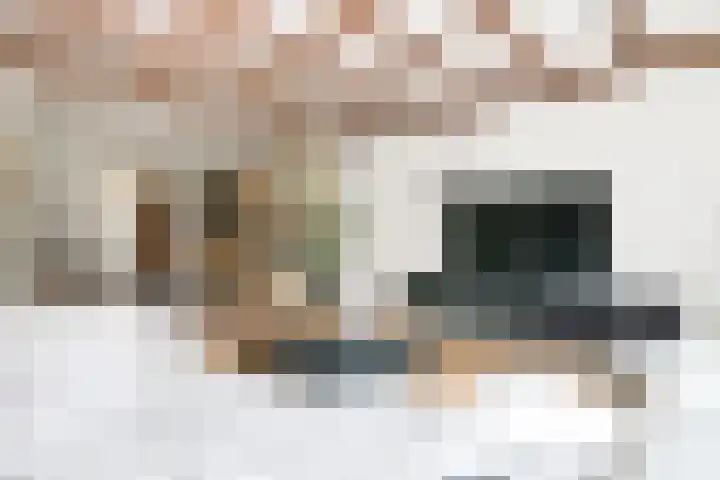 Pashegge 153 Winterswijk thumbnail 6