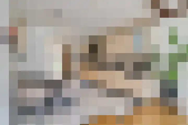 Pashegge 153 Winterswijk thumbnail 8