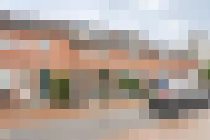 Pashegge 25 Winterswijk thumbnail 6