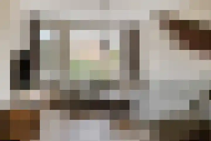 Pashegge 5 Winterswijk thumbnail 11