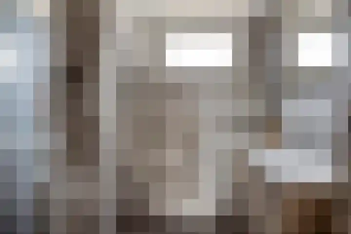 Pashegge 5 Winterswijk thumbnail 21