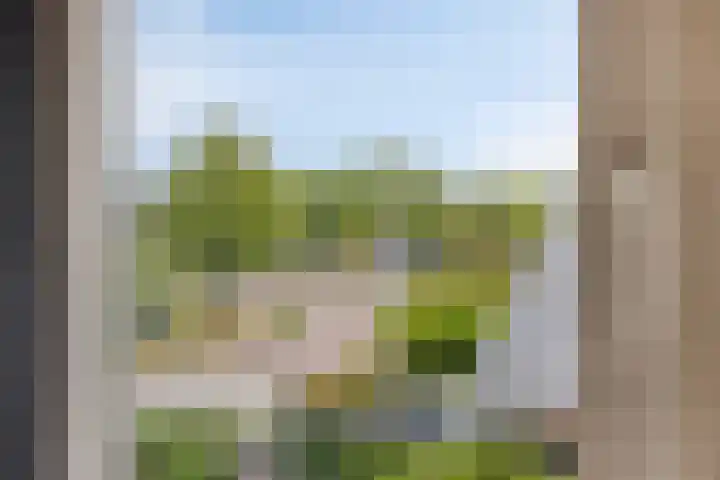 Pashegge 5 Winterswijk thumbnail 30