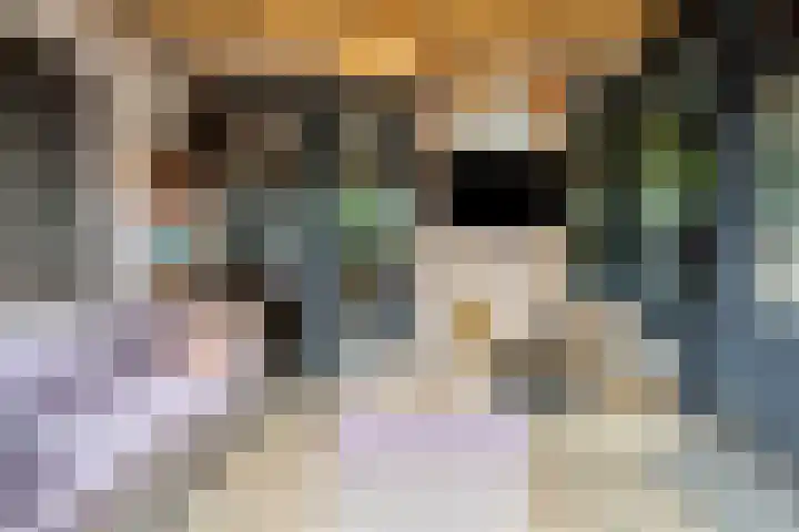 Pashegge 5 Winterswijk thumbnail 31