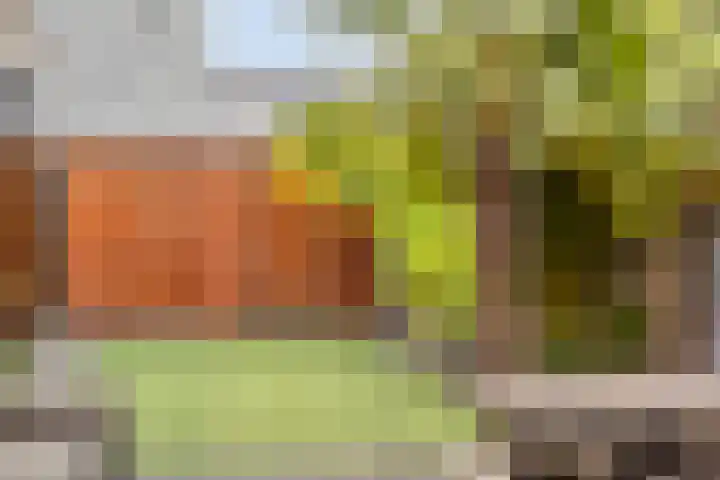 Pashegge 5 Winterswijk thumbnail 32