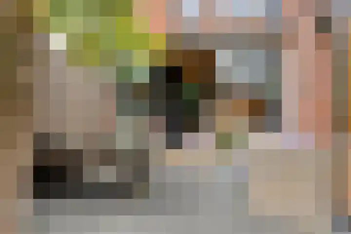 Pashegge 5 Winterswijk thumbnail 34