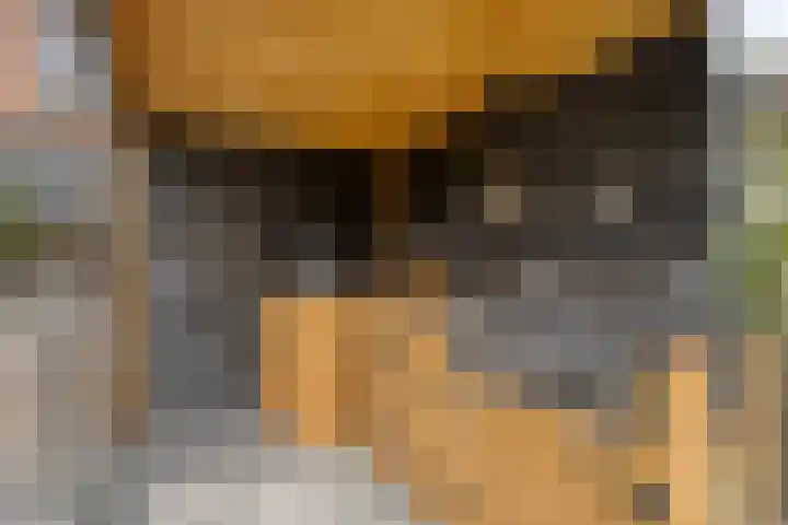 Pashegge 5 Winterswijk thumbnail 36