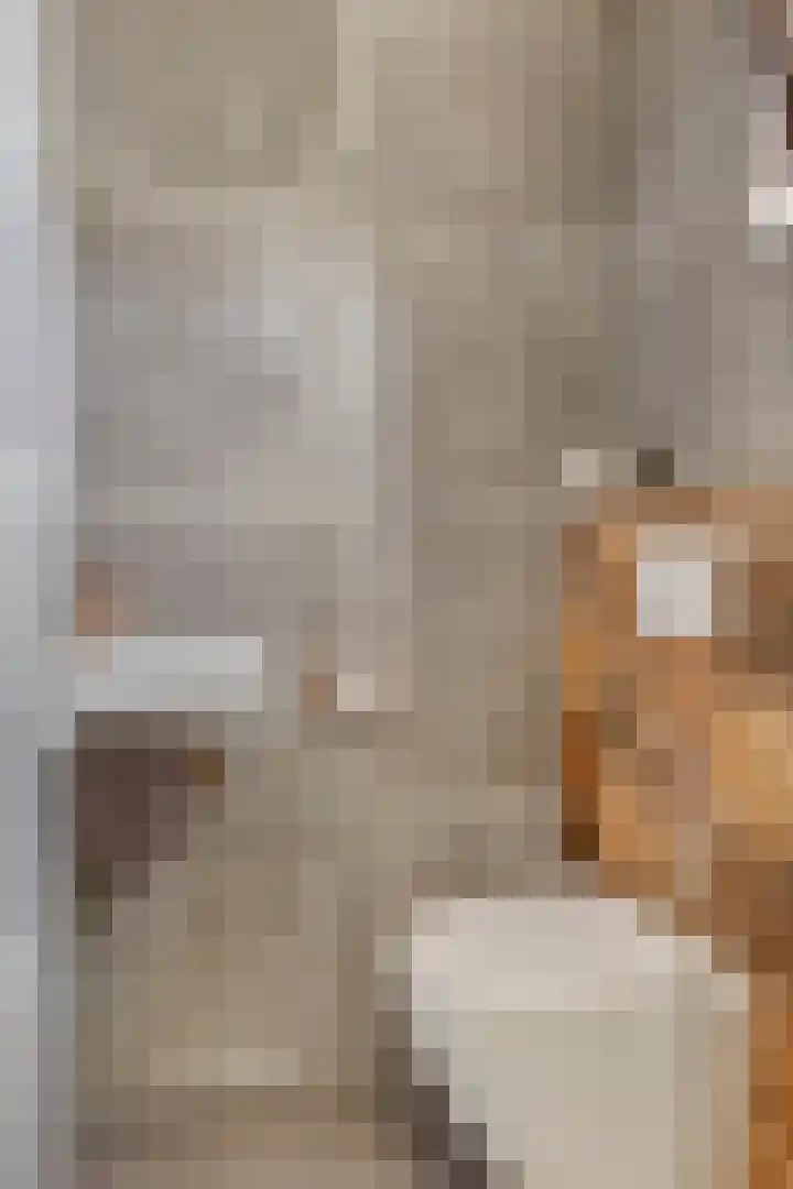 Pashegge 5 Winterswijk thumbnail 6