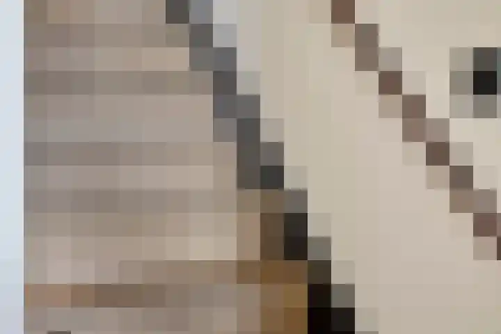 Pashegge 5 Winterswijk thumbnail 9