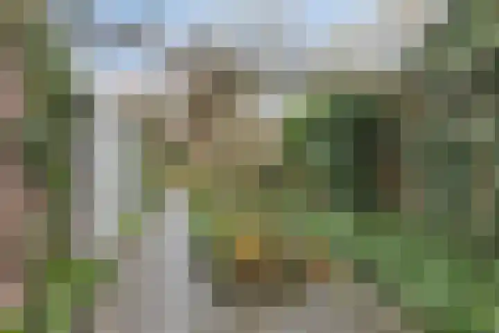 Pashegge 95 Winterswijk thumbnail 26