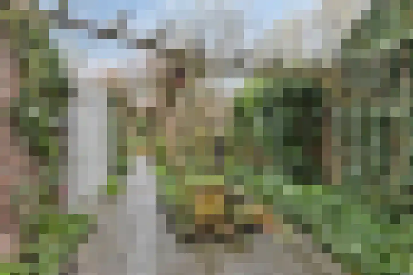 Pashegge 95 Winterswijk thumbnail 26