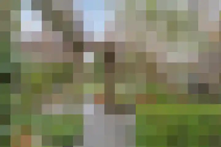 Pashegge 95 Winterswijk thumbnail 27