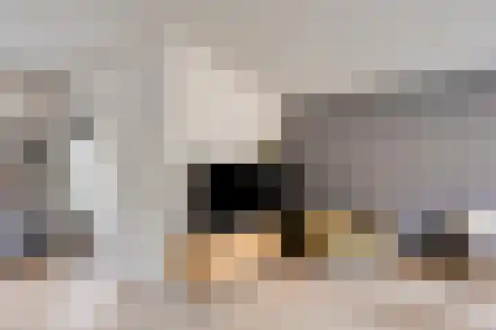 Pashof 4 Winterswijk thumbnail 15