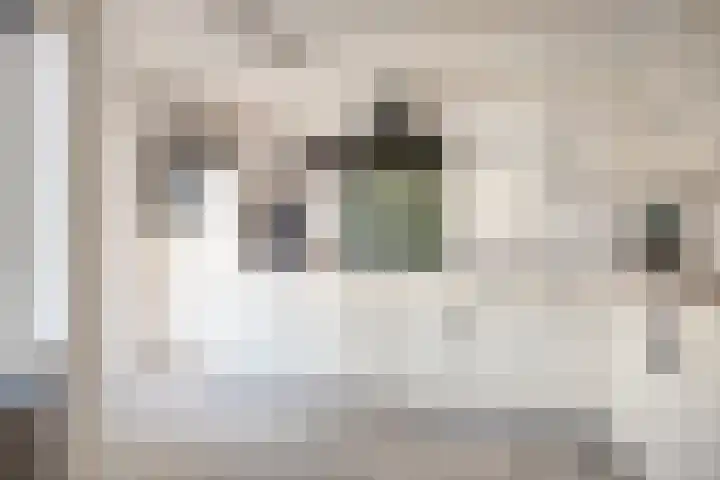 Pashof 4 Winterswijk thumbnail 20
