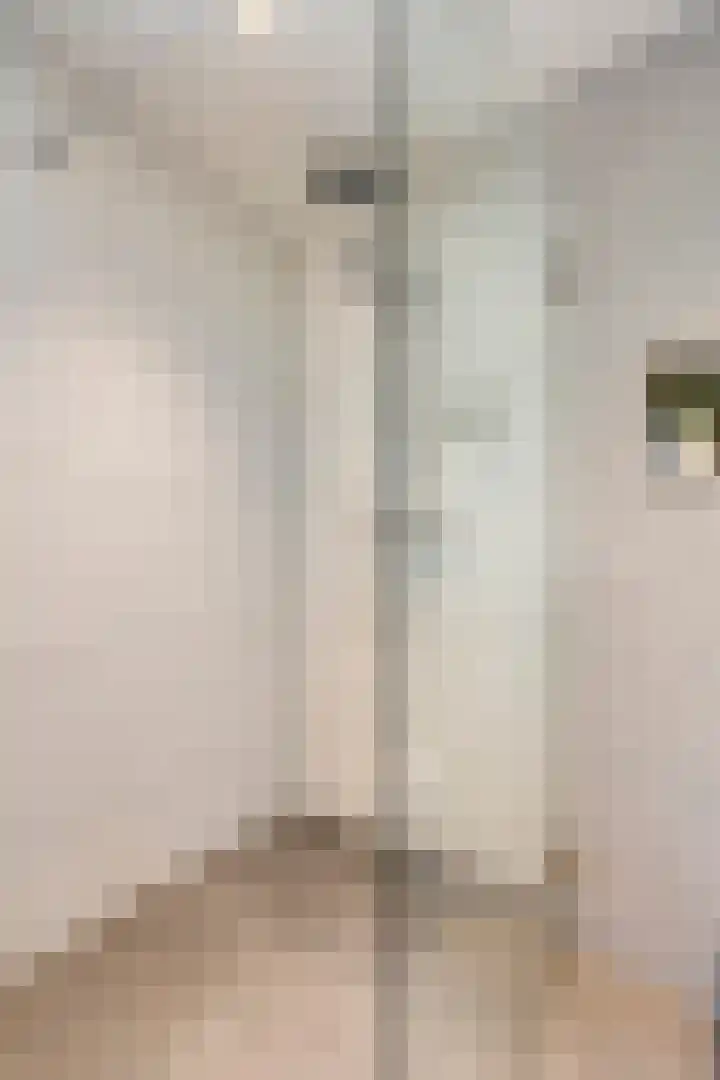 Pashof 4 Winterswijk thumbnail 30