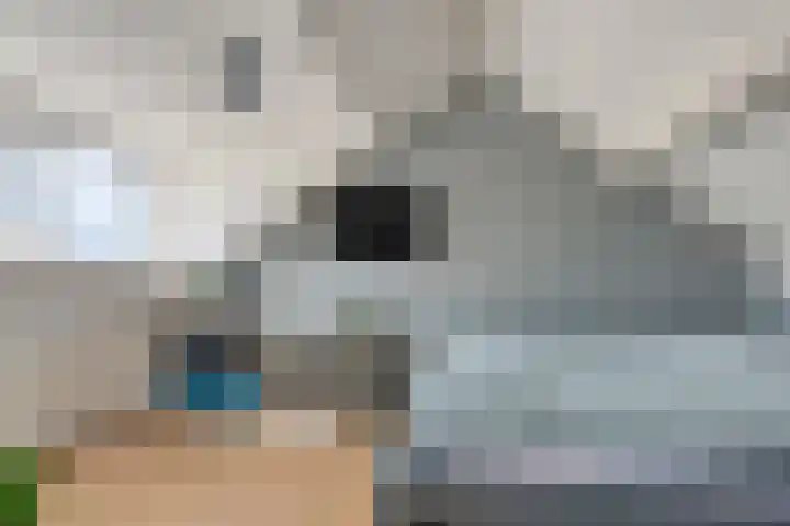 Pashof 4 Winterswijk thumbnail 36