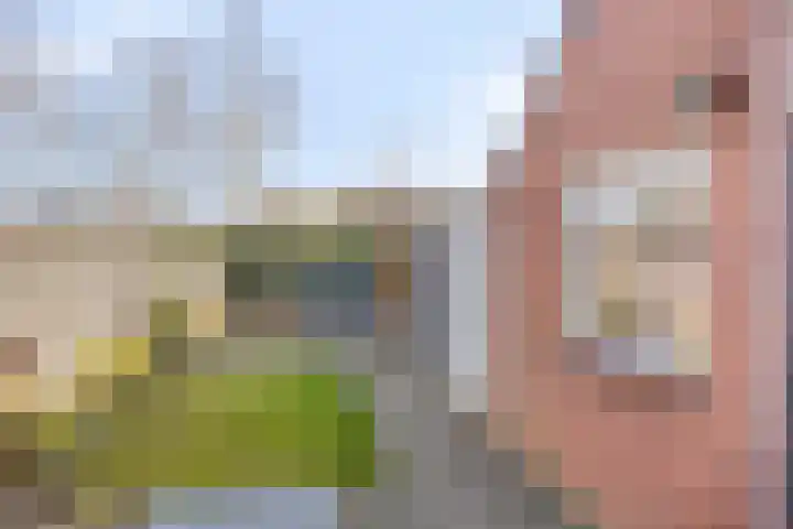 Pashof 4 Winterswijk thumbnail 39