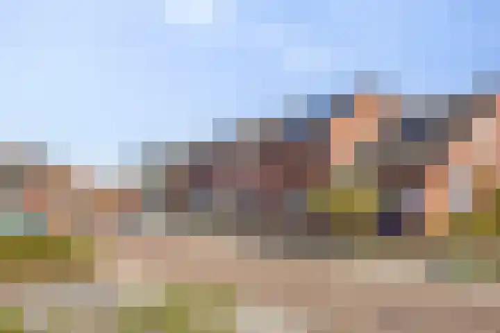 Pashof 4 Winterswijk thumbnail 4