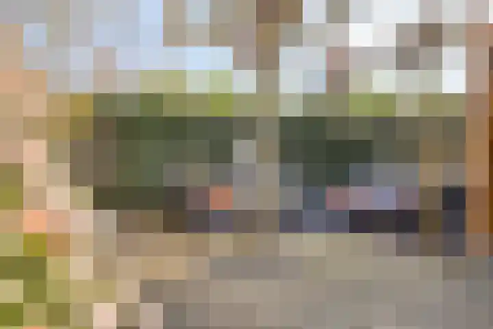 Pashof 4 Winterswijk thumbnail 40