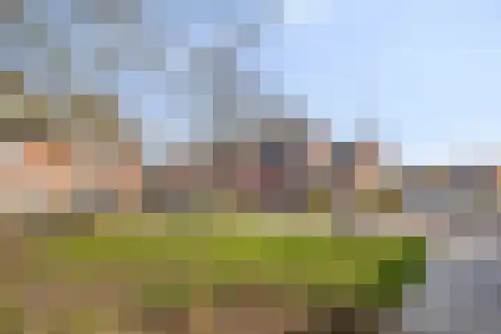 Pashof 4 Winterswijk thumbnail 41