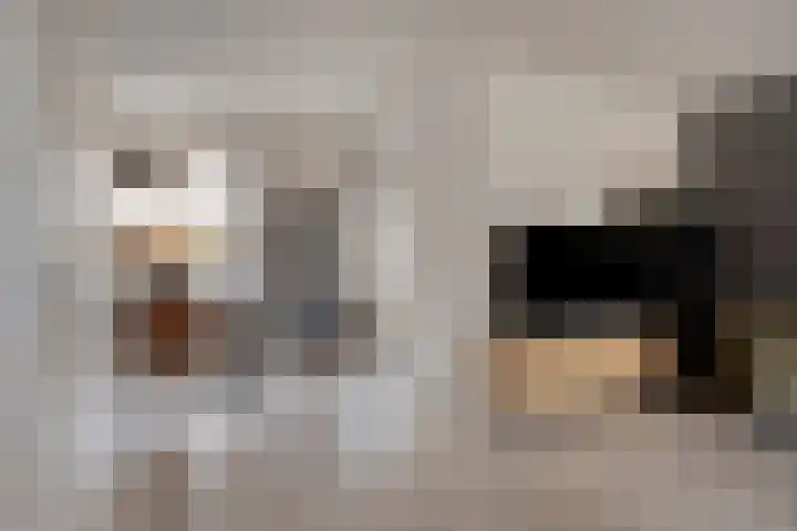 Pashof 4 Winterswijk thumbnail 8