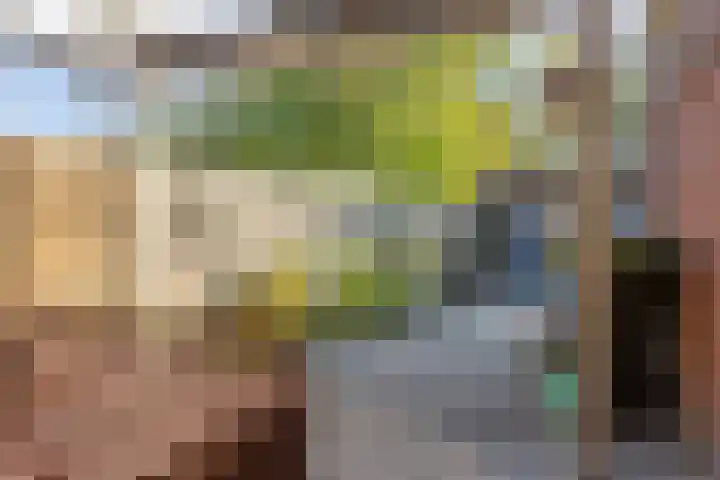 Pashof 8 Winterswijk thumbnail 37
