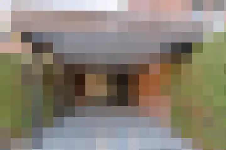 Pashof 8 Winterswijk thumbnail 7