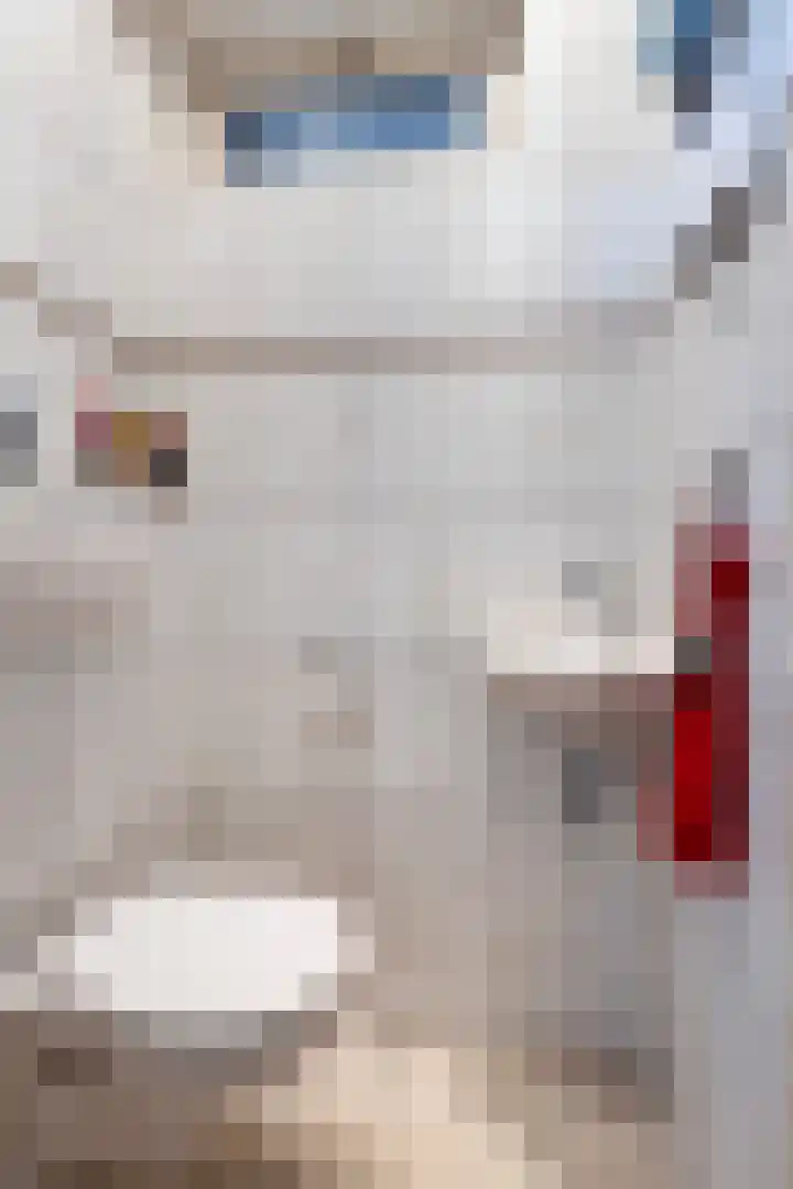 Pashof 8 Winterswijk thumbnail 9