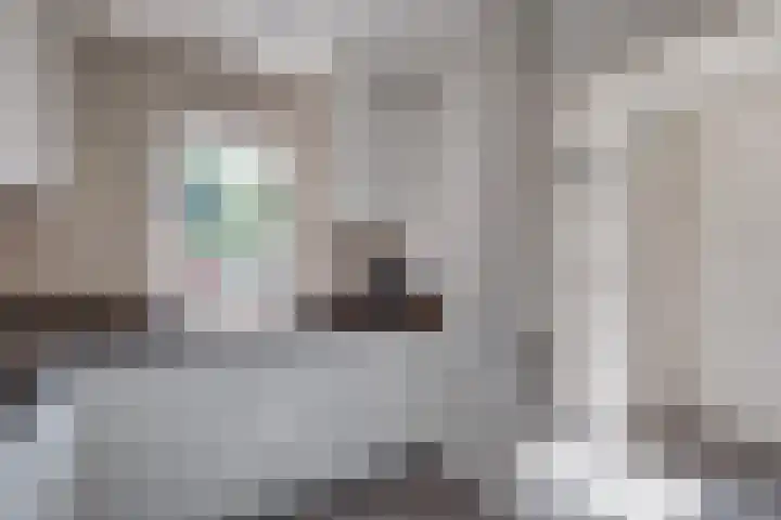 Pasmanshaard 25 Ruurlo thumbnail 11