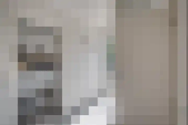 Pasmanshaard 25 Ruurlo thumbnail 12