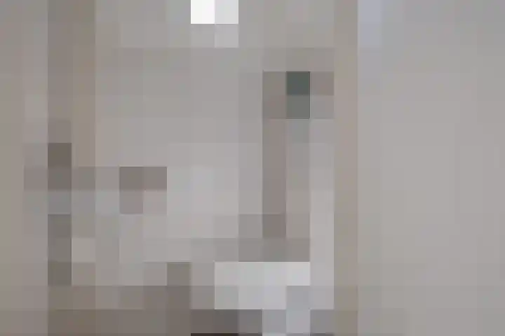 Pasmanshaard 25 Ruurlo thumbnail 13
