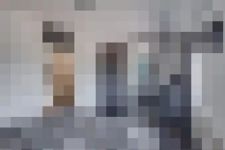 Pasmanshaard 25 Ruurlo thumbnail 15