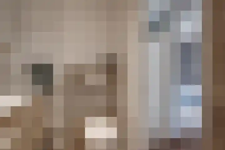 Pasmanshaard 25 Ruurlo thumbnail 19