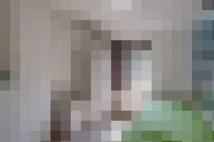 Pasmanshaard 25 Ruurlo thumbnail 20