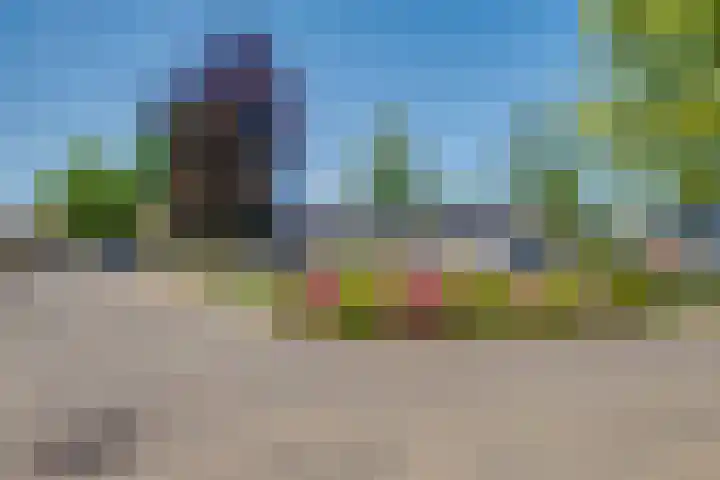 Pasmanshaard 25 Ruurlo thumbnail 30