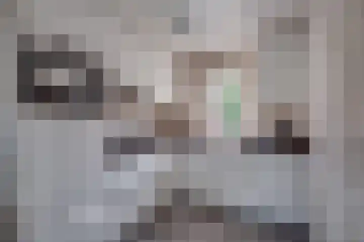 Pasmanshaard 25 Ruurlo thumbnail 4
